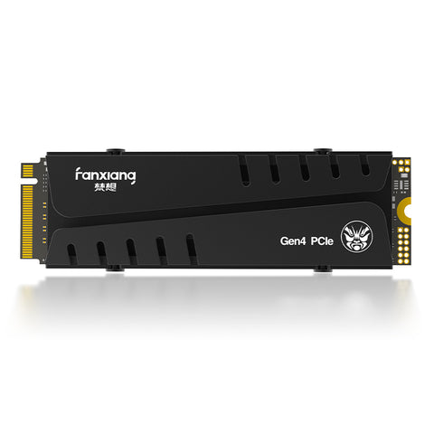 FanXiang S770 PCIe 4.0 NVMe M.2 Internal SSD